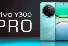 Harga vivo Y300 Pro Juli 2026 Turun! HP AMOLED 120Hz, Snapdragon 6 Gen Series, RAM 12GB dan Baterai 6.500mAh 
