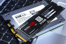 Penting untuk Upgrade SSD Laptop, Berikut 12 Cara Penggantiannya, Pengaruhi Performa Mobilitas!