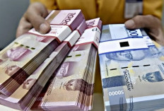 Semua Guru Tersenyum, Tunjangan Sertifikasi Cair, Intip Disini Besaran Nomilannya Bikin Kaget