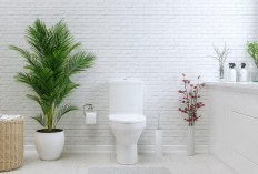 Tak Banyak yang Tahu! 5 Tanaman Hias Ini Ternyata Cocok Hidup di Kamar Mandi