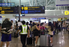 Panduan Cerdas: Mengatasi Lonjakan Harga Tiket Pesawat di Musim Libur