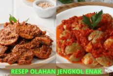 Cobain Moms! 3 Resep Jengkol yang Enak dan Kenyal, Rasanya Ga Kalah Sama Daging Lho...
