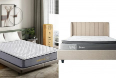 Springbed Murah Berkualitas? Ini 3 Daftar yang Bikin Tidur Mewah Tanpa Kantong Jebol!