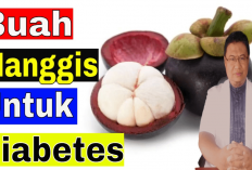 4 Manfaat Tersembunyi Buah Manggis Untuk Diabetes, Ternyata Tinggi Kalium 61,9 Miligram dan Vitamin Ini...