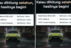 Berapa Perbandingan Pajak Mobil Listrik CBU vs CKD Lokal? Ini Model yang Tarifnya Paling Murah