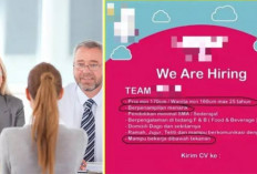 Heboh! Netizen Bandingkan Persyaratan Lowongan Kerja di Indonesia dan Malaysia: Umur 25 Sudah Kadaluarsa