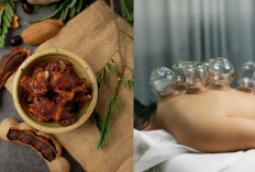 dr. Zaidul Akbar Bongkar Khasiat Dahsyat Asam Jawa dan Bekam: BAB Lancar, Imun Meledak!