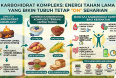 Karbohidrat Kompleks: Energi Tahan Lama yang Bikin Tubuh Tetap “On” Seharian