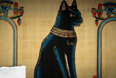 Waspada! Hindari Memelihara 7 Ciri Kucing ini Menurut Naskah Lama Kebudayaan Jawa, Dapat Membawa Nasib Buruk!