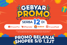 PROMO! 8 Kode Voucher Shopee 20 Mei 2024, Diskon 25 Persen Semua Akun, Happycall Potongan 60 Ribu dan Cashback