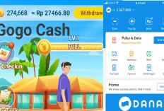 Untung Gede! Pertama Daftar Langsung Dapat Rp250.000 Saldo DANA Gratis, Ini Triknya di Gogo Cash