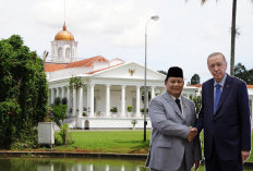 Agenda Lengkap Pertemuan Prabowo dan Erdogan Gelar di Istana Bogor! Ini Bocoran Topik Pembicaraan!