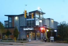 Hiraku Sushi! Restoran Halal di Jakarta, Dijamin Lezat dan Bikin Nagih, Kuy Kunjungi....