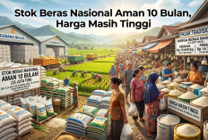 Stok Beras Nasional Aman 10 Bulan, Harga Masih Tinggi