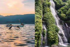 2 Destinasi Wajib Kamu Kunjungi di Bali! Lovina Beach & Banyumala Waterfall, Bikin Liburanmu Menyenangkan