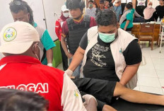 Tragedi Intan Jaya: Warga Sipil Tewas Ditembak KKB di Kampung Wandoga! 