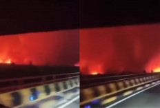Kebakaran Hutan di Sekitar Jembatan Tumbang Nusa Kembali Menyala, Warga Kalteng Khawatir Asap Makin Tebal