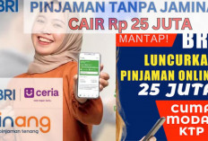 Langsung Cair! Cara Mudah Cairkan Pinjaman Online BRI Rp25 Juta dalam Sekejap, Cek Persyaratan Disini Gais...