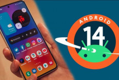 7 Fitur Terbaru Samsung OneUI Android 14 yang Wajib Kamu Coba! Salah Satunya Performa Baterai, Seperti Apa?