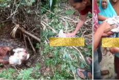 Astagfirullah! Bayi Baru Lahir Dibuang Ibunya ke Dalam Sumur, Suami Lapor Polisi