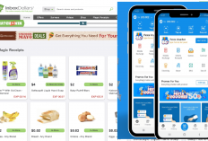 Halu Tapi Nyata! Saldo DANA Gratis Rp467.000 Masuk Dompet Kamu dari App InboxDollars, Malam Ini Only!