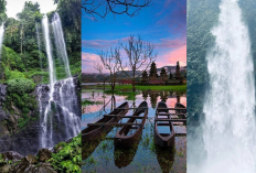 Singaraja Surga Tersembunyi di Bali Utara! Air Terjun Sekumpul, Tamblingan, dan Nungnung Bikin Takjub