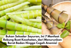 Bukan Sekadar Sayuran, Ini 7 Manfaat Rebung Buat Kesehatan, dari Menurunkan Berat Badan Hingga Cegah Anemia!