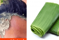 7 Manfaat Daun Pisang Kering, Bisa Usir Ketombe, Kebotakan dan Perawatan Rambut Alami, Ini Cara Buatnya...