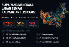 Viral! PT Kiani Lestari dan Kertas Nusantara, Jejak Bisnis Presiden Prabowo di Kalimantan Timur