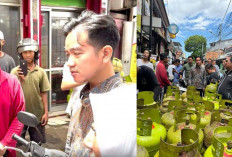 Gibran Rakabuming Raka Cek Pangkalan Gas 3 Kg Terkait Kelangkaannya! 