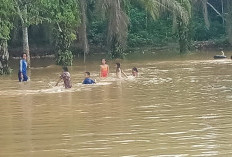 Hindari Aktifitas di Luar Rumah saat Hujan! Banjir Rendam 5 Kecamatan di Musi Banyuasin