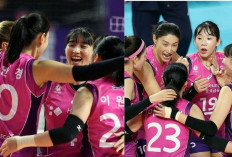 Pink Spiders Kian Tak Terbendung! Kalahkan IBK Altos dan Kokoh di Puncak di Liga Voli Korea 