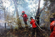 Pahlawan Masa Kini Berjibaku Padamkan Kobaran Api, Rela Tak Ketemu anak Istri