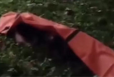 Identitas Pria yang Ditemukan Terikat di Tol Jagorawi Akhirnya Terungkap, Polisi Ungkap Fakta Baru!