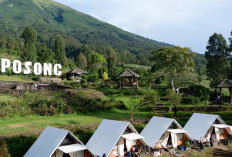 Tragedi Glamping Posong: 4 Orang dari Satu Keluarga Tewas Diduga Keracunan Gas