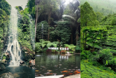 3 Surga Tersembunyi di Kaki Gunung Lawu! Ngadem Asyik di Air Terjun Suwono, Sumber Koso & Kebun Teh Jamus