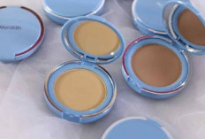 Jangan Bingung, Ini 5 Rekomendasi memilih Bedak Wardah, Untuk kulit Sawo Matang, Cobain Auto Cocok...