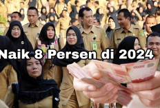 Woow! Gaji PNS, TNI, Polri, dan PPPK Naik 8 Persen di 2024, Ini Rinciannya