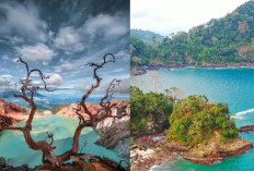 5 Rekomendasi Tempat Wisata Terbaik di Banyuwangi yang Bikin Liburan Makin Berkesan
