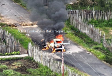 Ngeri! Kebengisan KKB Tembak dan Bakar Sopir Lajuran di Paniai