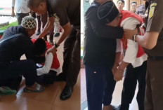 Miris! Jaksa Situbondo Tuntut 2 Tahun Penjara Kakek 71 Tahun yang Curi Burung Cendet di Hutan Baluran