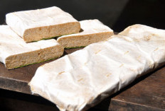 Dari Ampas Tahu, Begini Manfaat Tempe Gembuss..