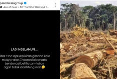 Pasca Banjir Sumatera, Viral Ajakan Patungan Beli Hutan dari Netizen Demi Selamatkan Satwa dan Ekosistem