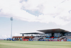 2 Kerugian Bali United Jalani Laga Championship Series Liga 1 2023/2024 Lawan Persib Bandung, Ini Gegaranya