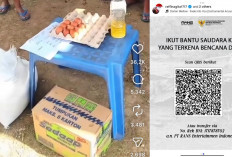 Open Donasi Raffi Ahmad Pakai Logo Utusan Presiden, Netizen Bandingkan dengan Dana MBG Rp44 Miliar Sehari?