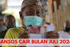 Gaes! Inilah Cara Cek Bansos Juli 2024 Menggunakan Hp, Cukup Pakai NIK KTP Aja Lho... 