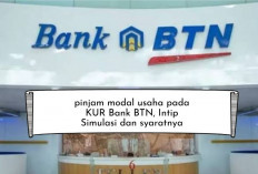 Ngapain Pusing Modal Usaha Kurang? KUR BTN Bisa Jadi Solusi! Pinjam 25 Juta dan Penuhi Syaratnya, Simple...