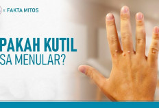 Waspada! Penyakit Kutil dan Jenisnya yang Dapat Menginfeksimu, Virus HPV Merupakan...