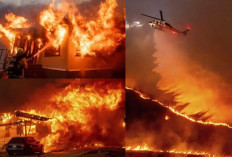 Tragis! Kebakaran Hutan di Los Angeles Tercatat 16 Orang Tewas, Api Sulit Dipadamkan Karena Ini