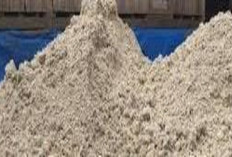 Info Ternak, Cara Membuat Pakan Alternatif dari Ampas Singkong untuk Kambing, Berikut Prosesnya...